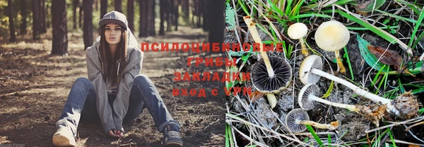 MDMA Абинск