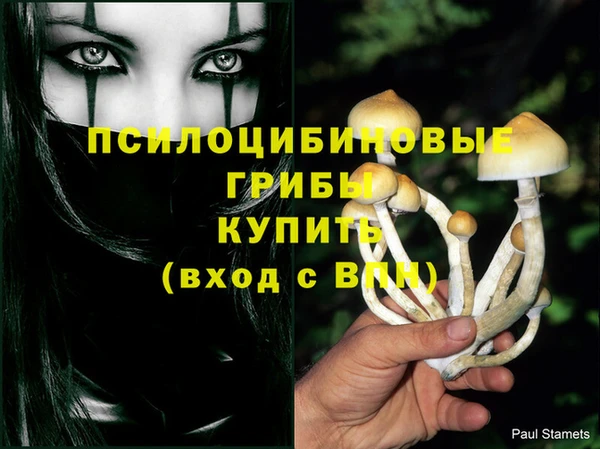 молекула духа Абдулино
